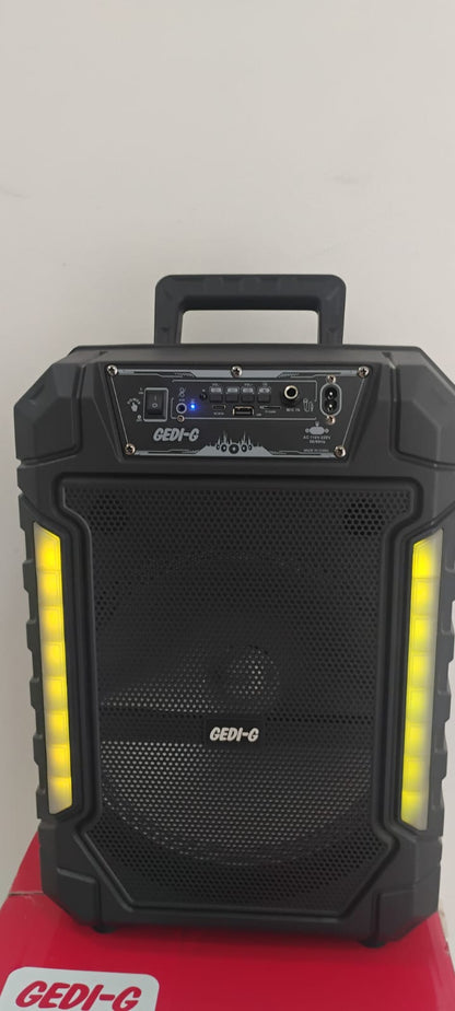 🔊 PARLANTE PORTÁTIL 12” CON MICRÓFONO INALÁMBRICO RECARGABLE + CONTROL+  LUCES LED