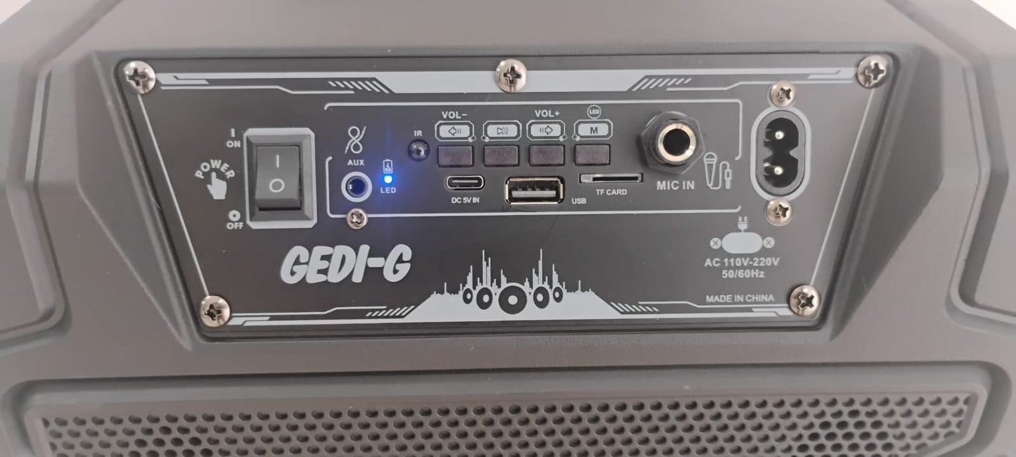 🔊 PARLANTE PORTÁTIL 12” CON MICRÓFONO INALÁMBRICO RECARGABLE + CONTROL+  LUCES LED