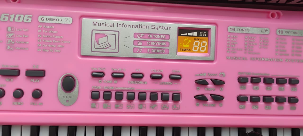 ORGANETA ROSADA 61 TECLAS + USB + MICRÓFONO