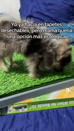 🐾 TAPETE HIGIÉNICO TIPO PASTO EXTRA GRANDE CON 3 CAPAS 🐾