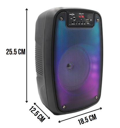 🛒 Cabina Portátil Bluetooth 6.5” con Micrófono + Luces LED